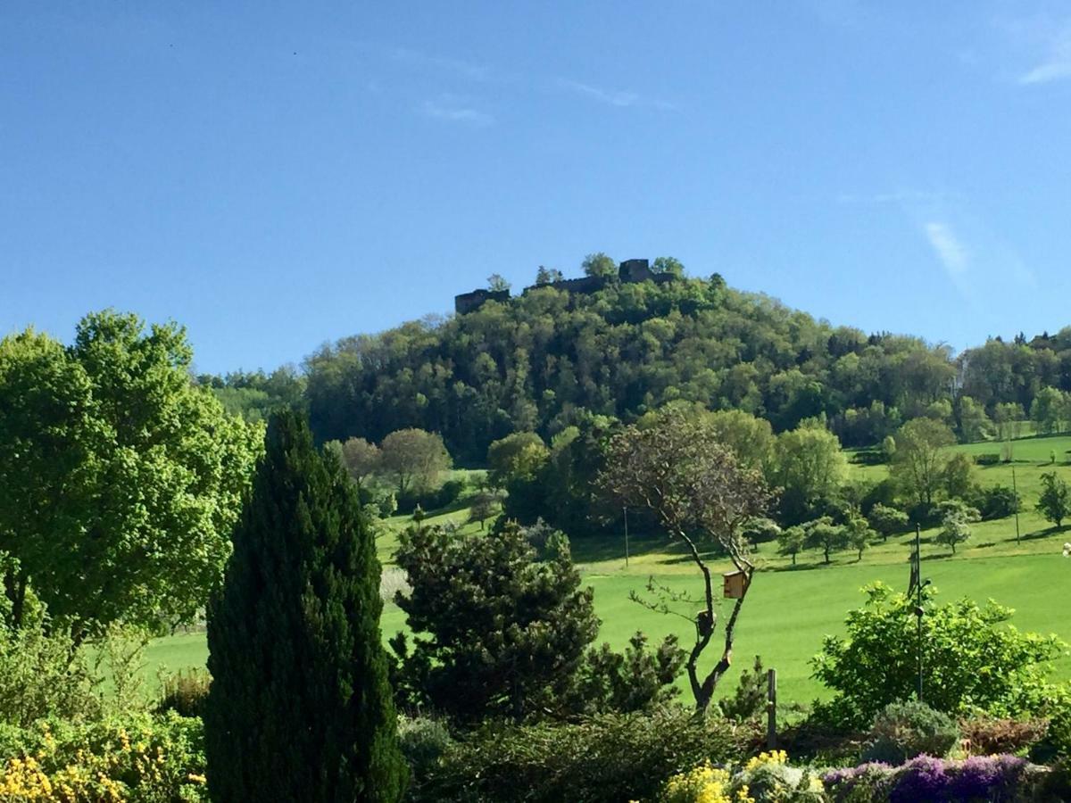 Hegau-Lounge-Bodensee Muhlhausen-Ehingen Екстериор снимка